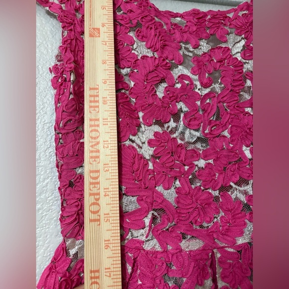 Yoana Baraschi Anthropology Fit and Flare Dress. Mesh with Pink Ribbon Overlay. - Picture 7 of 16
